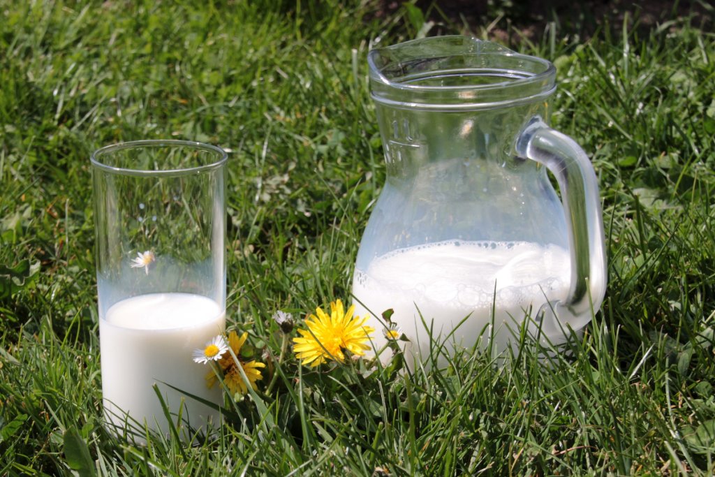 Milk Composition and Fortification: Nutritional Benefits Across Species